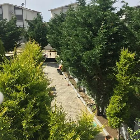 Tuna Guzelcamlı